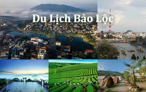 Thuê xe 4 7 chỗ đi Bảo Lộc