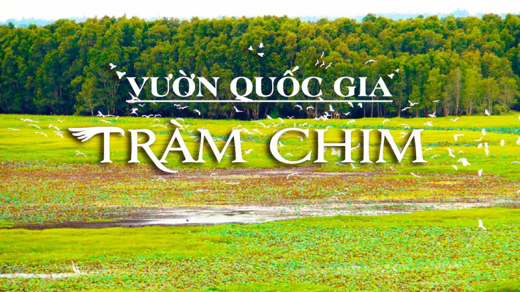 Du lịch vườn quốc gia Tràm Chim Đồng Tháp