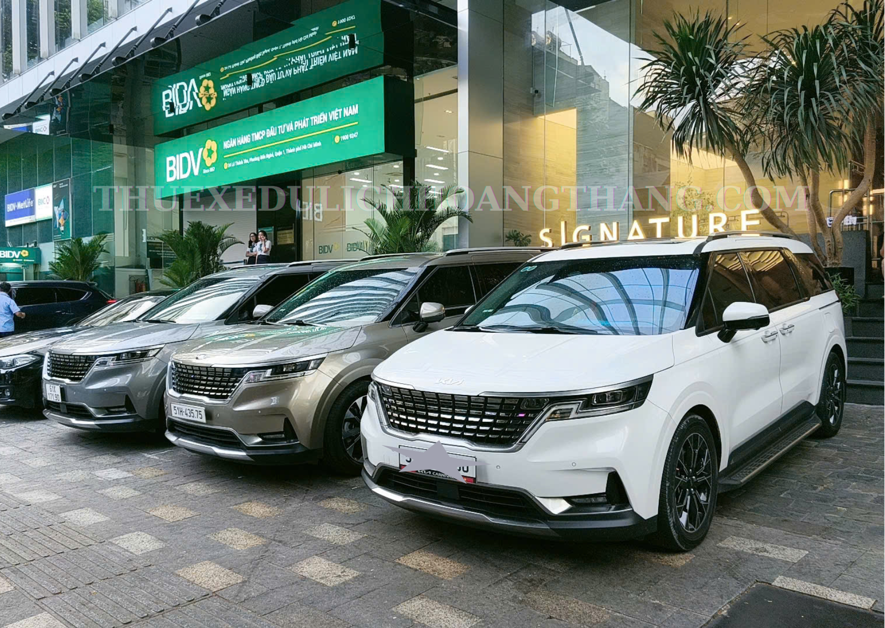 Thuê Xe Carnival Đón Sân Bay